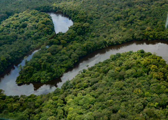 Der Potaro Fluss in Guyana ist für seine Flora und Fauna bekannt