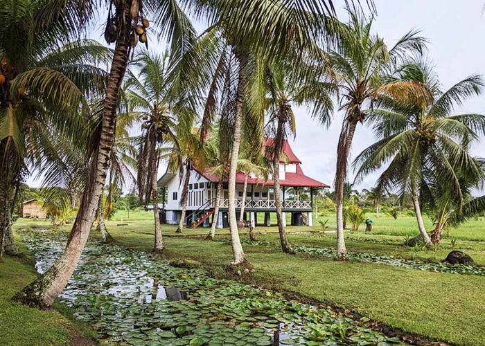 In Suriname und Guyana wird viel angebaut