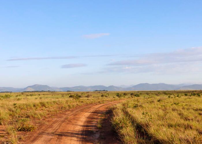 Zu jeder Guyana-Reise gehört auch eine Tour durch die Savanne